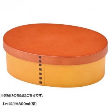 わっぱ弁当箱 800ml 栗 木目調 弁当箱 ランチボックス 抗菌加工 電子レンジ対応 食洗機対応 大人 子供 メンズ レディース 男子 女子 おしゃれ 樹脂製 曲げわっぱ風 お弁当箱 セトクラフト