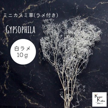 大地農園！プリザーブドフラワー「ミニカスミ草(ラメ付き) 白ラメ 10g」 プリザ カスミ草　カスミソウ 花材 ハーバリウム おしゃれ かわいい プレゼント 贈り物　オオチノウエン