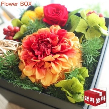  送料無料 プリザーブドフラワー 父の日【送料無料 Flower BOX】 誕生日 サプライズ 敬老の日 プレゼント 送別 ダリア バラ ギフト ボックスフラワー  ブリザードフラワー 両親贈呈品 子育て感謝状 退職 サプライズ  結婚祝い 引越し祝い 新築祝い 開店 出産 内祝