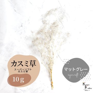 「大地農園 スーパーソフトミニカスミ草 マットグレー 10g 」 ドライフラワー 花材 ハーバリウム 素材 小さいお花 アレンジメント ギフト 母の日 お誕生日 オオチノウエン プリザーブドフラワー プリザーブド プリザ かすみそう カスミ ハンドメイド