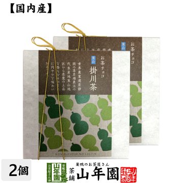 お茶チョコ 東山 掛川茶 2枚入り×2個セット チョコレート お菓子 緑茶 まっちゃ 健康 国産 緑茶 敬老の日 ギフト プレゼント プチギフト お茶 内祝い 2026 還暦祝い 父 母 贈り物 香典返し