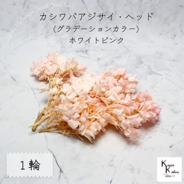 宅急便で発送 大地農園！ プリザーブドフラワー 「カシワバアジサイ (グラデーション) ホワイトピンク 1輪分」 アジサイ