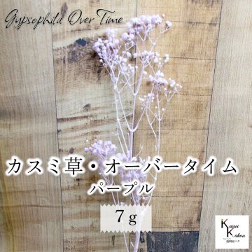 メール便で発送 大地農園！プリザーブドフラワー 「カスミ草・オーバータイム パープル 7g」プリザ カスミソウ カスミ草  花材 ハーバリウム おしゃれ かわいい プレゼント 贈り物 オオチノウエン
