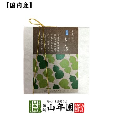 お茶チョコ 東山 掛川茶 2枚入り チョコレート お菓子 緑茶 まっちゃ 健康 国産 緑茶 敬老の日 ギフト プレゼント プチギフト お茶 内祝い 2026 還暦祝い 父 母 贈り物 香典返し