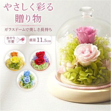 プリザーブドフラワー ガラスドーム 通販 プリザーブド フラワー フラワーアレンジメント ガラス ドーム バラ 薔薇 ローズ 花 ジュエルガラスドーム 枯れない花 ギフト 贈り物 母の日 誕生日 記念日 お祝い お見舞い インテリア 観葉植物