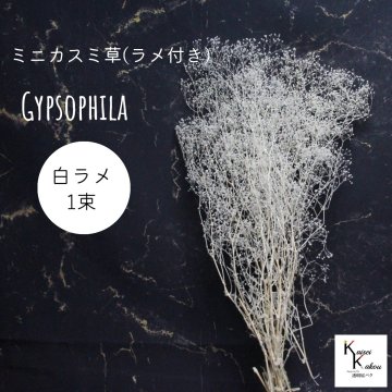 メール便で発送 大地農園！プリザーブドフラワー「ミニカスミ草(ラメ付き) 白ラメ 1束」 プリザ カスミ草　カスミソウ 花材 ハーバリウム おしゃれ かわいい プレゼント 贈り物　オオチノウエン