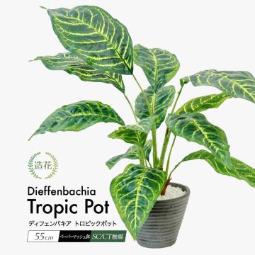 フェイクグリーン ディフェンバキア トロピックポット 55cm 鉢植 人工 観葉植物 造花 光触媒 CT触媒 インテリア ミニ テーブル 父の日