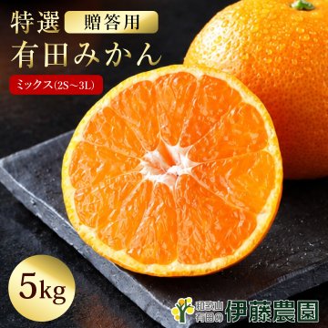 みかん 5kg 贈答用 秀品 特選 送料無料 和歌山 S～２L 混合 伊藤農園 小玉 大玉 中玉 手詰め 有田みかん 温州みかん 早生 約35～60個 ご当地 果物 柑橘出産内祝い 贈答 ギフト 誕生日 結婚祝い 出産祝い 内祝い ギフト