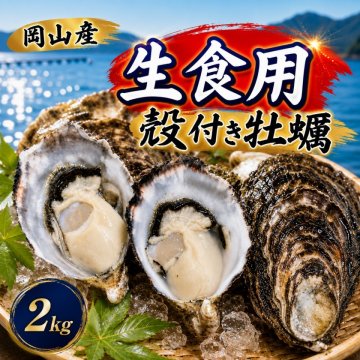 岡山産 殻付き牡蠣  2kg (約80ｇ×24個前後)生食用 三倍体 真牡蠣 ナイフ軍手付き ASAHI OYSTER カキ かき 生牡蠣 