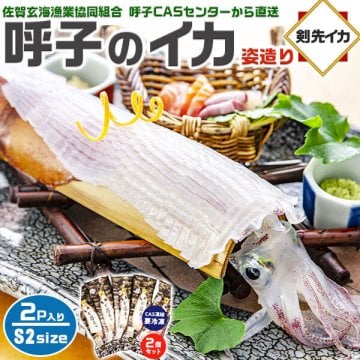 旅サラダ TVで紹介／ 呼子のイカ｜呼子 剣先いか姿造り（S2サイズ）× 合計2P | 約150～199g（1個あたり） CAS凍結 高級 剣先いか イカそーめん お刺身 天ぷらでも 姿造り 呼子漁港直送
