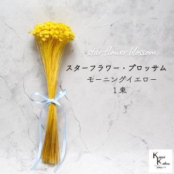 大地農園 「スターフラワー ブロッサム モーニングイエロー 1束」  小花 ドライフラワー ハーバリウム アロマワックスバー サシェ キャンドル 花材