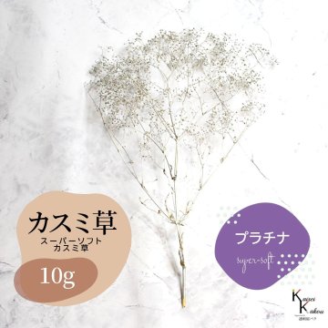 「大地農園 スーパーソフトミニカスミ草 プラチナ 10g 」 ドライフラワー 花材 ハーバリウム 素材 小さいお花 アレンジメント ギフト 母の日 お誕生日 オオチノウエン プリザーブドフラワー プリザーブド プリザ かすみそう カスミ ハンドメイド