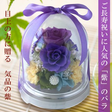 プリザーブドフラワー ドーム 花 紫 誕生日祝い 記念日 長寿祝い 古希祝い 喜寿祝い 敬老の日 ｜ フローリストレマン チャーム（ラベンダー）