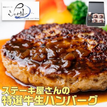 ハンバーグ ギフト 贈答用 ステーキ屋さんの 特選 牛生 ハンバーグ 若草 -Wakakusa-｜シェルブルー 山口シェフ 監修 特選ハンバーグ150g×4、ソース180g　合計4個入り｜ギフト　レトルト食品　贈物　プレゼント　母の日　父の日　お中元　送料無料