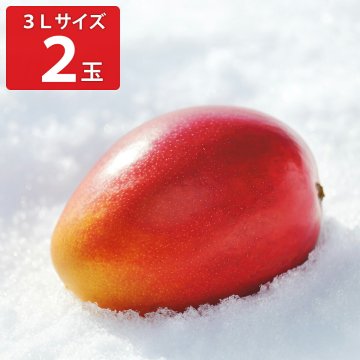 北海道 おとふけ産 マンゴー 白銀の太陽 3Lサイズ ギフト 2玉入 フルーツ 希少 果物 十勝 音更町産 高級フルーツ