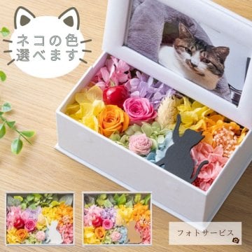 プリザーブドフラワー 誕生日プレゼント 還暦 結婚祝い 結婚記念日 【ミニョン】 フォトフレーム 写真立て お見舞い フラワーボックス 猫花 バラ アレンジメント 米寿 友達 10周年 ねこ 玄関 卒寿 内祝い 箱 妻 両親 花 白寿 贈呈 母 女性 フラワーギフト ウェディング 100歳 友人 金婚式花 ギフト 長寿祝い 銀婚式 ボックスアレンジ おばあちゃん 古希 かわいい お祝い 傘寿 彼女