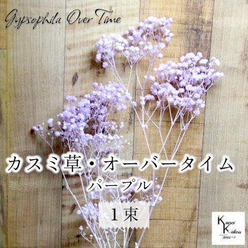 大地農園！プリザーブドフラワー 「カスミ草・オーバータイム パープル 1束」プリザ カスミソウ カスミ草  花材 ハーバリウム おしゃれ かわいい プレゼント 贈り物 オオチノウエン