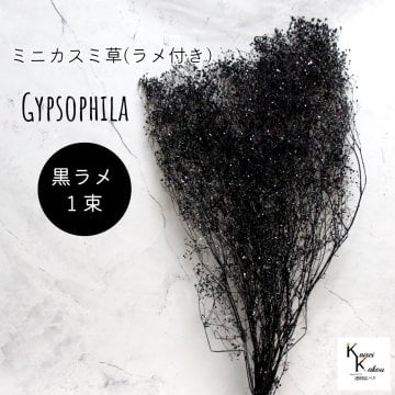 宅急便で発送 大地農園！プリザーブドフラワー「ミニカスミ草(ラメ付き) 黒ラメ 1束」 プリザ カスミ草　カスミソウ 花材 ハーバリウム おしゃれ かわいい プレゼント 贈り物　オオチノウエン