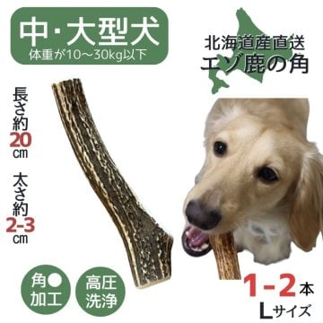 【無添加品】鹿の角 Lサイズ 1本/2本 北海道 犬のおやつ 蝦夷鹿 鹿角 鹿の角 犬 デンタルケア 無添加 長持ち 犬用品 犬用 おもちゃ ペットグッズ ペット いぬ ドッグ 歯みがき はみがき 中型犬 大型犬 ペット用品 犬のガム 噛む 玩具 犬おもちゃ