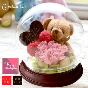 ★メッセージ入り　名入れ★ドーム型ROSA-カーネーションベア-(茶底）（枯れないお花） ＜メッセージ名入れ可能＞ ＜プリザーブドフラワー ドーム＞ ＜プリザーブドフラワー 名前入り＞ ＜母の日/プレゼント/バレンタインデー/ホワイトデー＞母の日プレゼント　名前入り