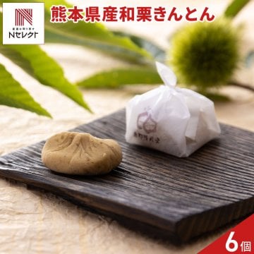 岐阜 恵那清月堂 栗きんとん ギフト 6個入 和菓子 個包装 生菓子 冷凍 スイーツ 栗