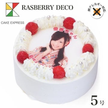 アレルギー対応 卵不使用 写真ケーキ ラズベリー生クリーム 5号 バースデーケーキ 誕生日ケーキ フォトケーキ イラスト プリント 4～6名様用 卵アレルギー サプライズ 冷凍