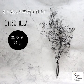 大地農園！プリザーブドフラワー「ミニカスミ草(ラメ付き) 黒ラメ 2ｇ」 プリザ カスミ草　カスミソウ 花材 ハーバリウム おしゃれ かわいい プレゼント 贈り物　オオチノウエン