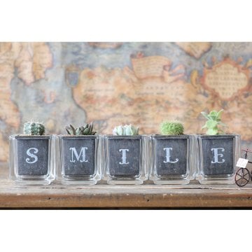 サボテン多肉植物　SMILE　ガラスキューブ5個セット