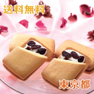 【送料無料】銀座千疋屋 銀座レーズンサンド 15個入り【誕生日 結婚祝い 出産祝い 還暦祝い 結婚記念日 送別会 お祝い 引越し祝い 新築祝い 初節句 古希 喜寿 傘寿 お返し 内祝い お見舞い 快気祝い 金婚式 銀婚式 パーティー 景品 賞品 グルメ 母 父 女性 男性 両親 友達 親戚 上司 先輩 後輩 家族 子供 大人 彼氏 彼女 夫婦】【お歳暮 ハロウィン】