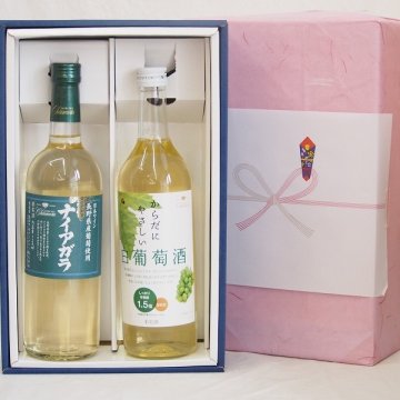 母の日贈り物感謝贈り物白ワインボックス2本セット(からだにやさしい白葡萄酒白ワインやや甘口 長野県産 ナイアガラ 白ワイン) 720ml×2本