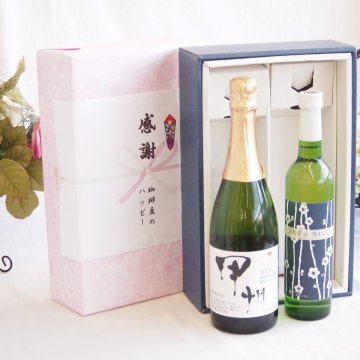 感謝の贈り物ボックス 穂坂甲州種ぶどう100%辛口スパークリングワインと国産ワインセット(京都青谷 梅わいんワインやや甘口(京都府)500mlシャンモリ柑橘香 穂坂甲州スパークリングワイン(山梨県)750ml