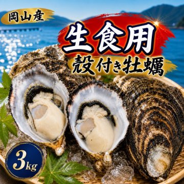岡山産 殻付き牡蠣  3kg (約80ｇ×38個前後)生食用 三倍体 真牡蠣 ナイフ軍手付き ASAHI OYSTER カキ かき 生牡蠣 