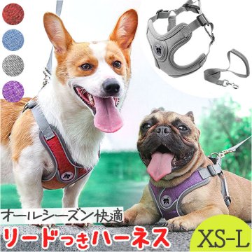 ハーネスリード 犬 通販 ハーネス リード付き ハーネスリードセット ハーネス＆リード 胴輪 首輪 リードセット 犬具 簡単装着 一体型 犬用 猫用 ペット 小型犬 いぬ イヌ シンプル お散歩 散歩 お出かけ おでかけ ペット用 ペット用品