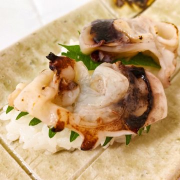 飛鳥フーズ お刺身 いか軟骨500g イカ 刺身 するめいか 国産 イカなんこつ おつまみ 刺し身 冷凍 いか なんこつ スルメイカ お取り寄せ 軟骨 酒の肴