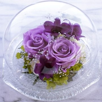 紫の薔薇・パープルメモリードーム・ガラスドームアレンジ 誕生日 ギフト お祝い 花束 【プリザーブドフラワー】紫の薔薇・パープルメモリードーム・ガラスドーム　濃淡紫のレイヤー　ほこりが付かない ギフト 誕生日　記念日 サプライズ　送料無料