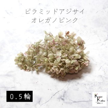 宅急便で発送 大地農園！プリザーブドフラワー 「ピラミッドアジサイ・ヘッド（グラデーション） オレガノピンク 0.5輪分」 プリザ アジサイ 紫陽花 花材 ハーバリウム おしゃれ かわいい プレゼント 贈り物 オオチノウエン ピラミッドアジサイ
