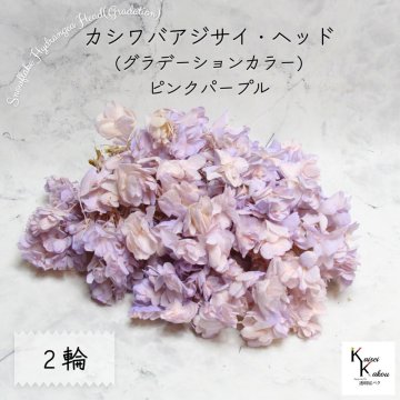 メール便で発送 大地農園！ プリザーブドフラワー 「カシワバアジサイ (グラデーション) ピンクパープル 2輪分」 アジサイ