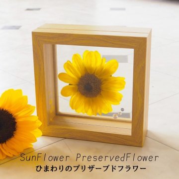 向日葵 ひまわりのプリザーブドフラワー ガラスフレーム １輪咲き 枯れないお花 名入れ可能 向日葵のフレーム