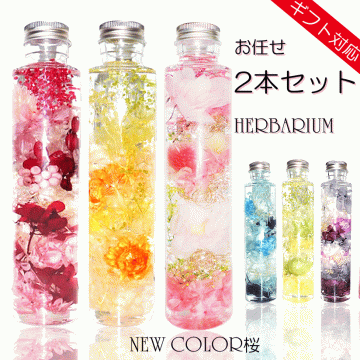 ハーバリウム ギフト プレゼント【お任せ2本入り】 福袋 誕生日 桜 プリザーブドフラワー  義理 お祝い バースデー 結婚祝い 贈り物 結婚式 退職祝い 還暦 古希 喜寿 米寿 お礼 ウェディング 母の日 父の日 お母さん 【送料無料※一部地域を除く】 