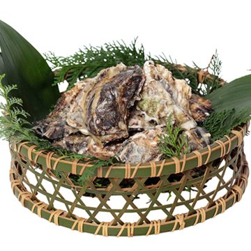 神の国伊勢志摩発凍眠セレクション 三重県産桃こまち レンチンパック(牡蠣)4kg  ／カキ 貝類 魚介類・水産加工品 食品 結婚祝い プレゼント ギフト 結婚内祝い 出産祝い 出産内祝い 送料無料 送料無料 取り寄せ グルメ 産地直送 センター スイーツ お菓子 高級 ご飯 食品 飲料 おかず つまみ おやつ
