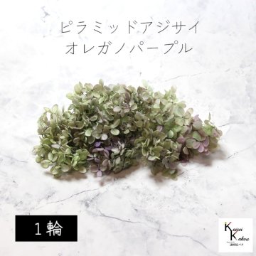 宅急便で発送 大地農園！プリザーブドフラワー 「ピラミッドアジサイ・ヘッド（グラデーション） オレガノパープル 1輪分」 プリザ アジサイ 紫陽花 花材 ハーバリウム おしゃれ かわいい プレゼント 贈り物 オオチノウエン ピラミッドアジサイ