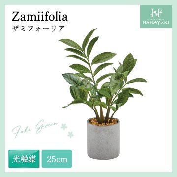 フェイクグリーン ザミフォーリア 光触媒 卓上 25cm 人工観葉植物 室内用 おしゃれ インテリアグリーン 母の日 プレゼント HANAYUKI