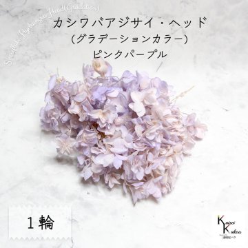 メール便で発送 大地農園！ プリザーブドフラワー 「カシワバアジサイ (グラデーション) ピンクパープル 1輪分」 アジサイ