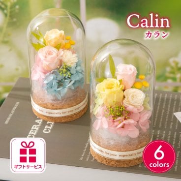 プリザーブドフラワー ギフト ガラスドーム 【カラン】 誕生日プレゼント 母親 女友達 妻 両親 誕生日 メッセージカード サプライズ 誕生日ギフト お祝い 20代 上司 70代 女性 50歳 大学生 記念日 周年記念 結婚記念日 銀婚式 金婚式 退職祝い 送別会 卒業祝い 卒団祝い 出産祝い プチギフト フラワーアレンジメント フラワーギフト 長持ち 母の日 花