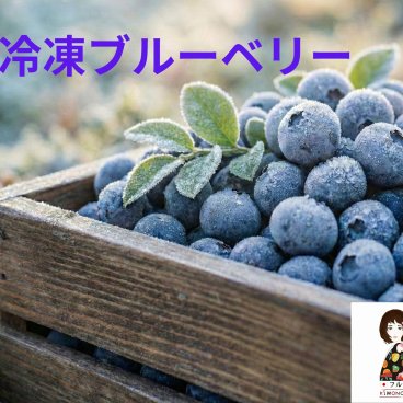 【KIMONO FRUITS】冷凍ブルーベリー 1000g　栄養価の高いブルーベリーは、ポリフェノールやアントシアニンがいっぱい。