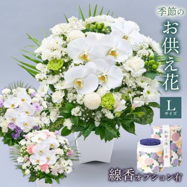 メモリアルアレンジメントL 線香 お供え花 供養 胡蝶蘭 コチョウラン シンビジューム オーキッド そのまま飾れる アレンジメント 生花 花市場から直送 仏花 フラワーアレンジメント お悔やみ花 新盆花 お花 お彼岸 仏壇用 一周忌花 命日 法事 供花