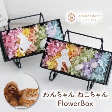 プリザーブドフラワー フラワーボックス ギフト ボックスフラワー ペット プレゼント 贈り物 かわいい ギフト おしゃれ インテリア 枯れない アジサイ 犬 猫 卒業 送別 母の日 父の日 敬老の日 誕生日 結婚記念日 お礼 お祝い お供え お悔やみ お彼岸 お盆 初盆 新盆 御供