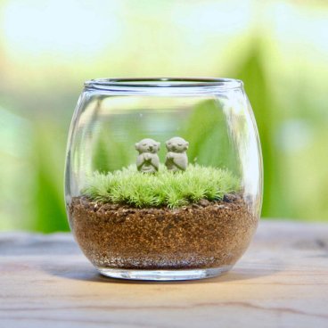 双子地蔵_おちょこけ《苔テラリウム・コケリウム》インテリア小物（雑貨類）