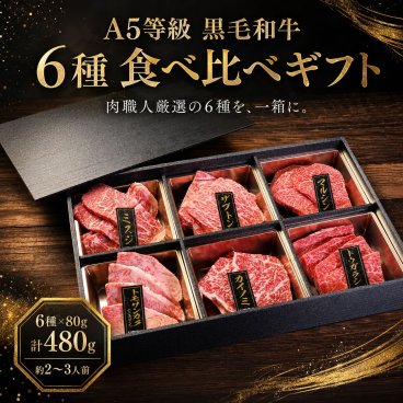A5等級 黒毛和牛 6種焼肉 食べ比べセット（480g）2～3人前
