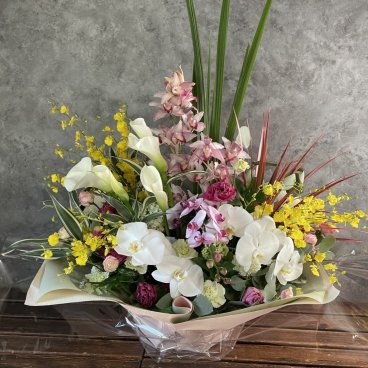 【胡蝶蘭】高級蘭で盛大に祝福【上品】恋人 上司 両親 お祝い プロポーズ 結婚祝い 開店祝い 開業祝い 発表会 送別会 引越し祝い 新築祝い 結婚記念日 誕生日 退職祝い ギフト プレゼント 豪華 母の日